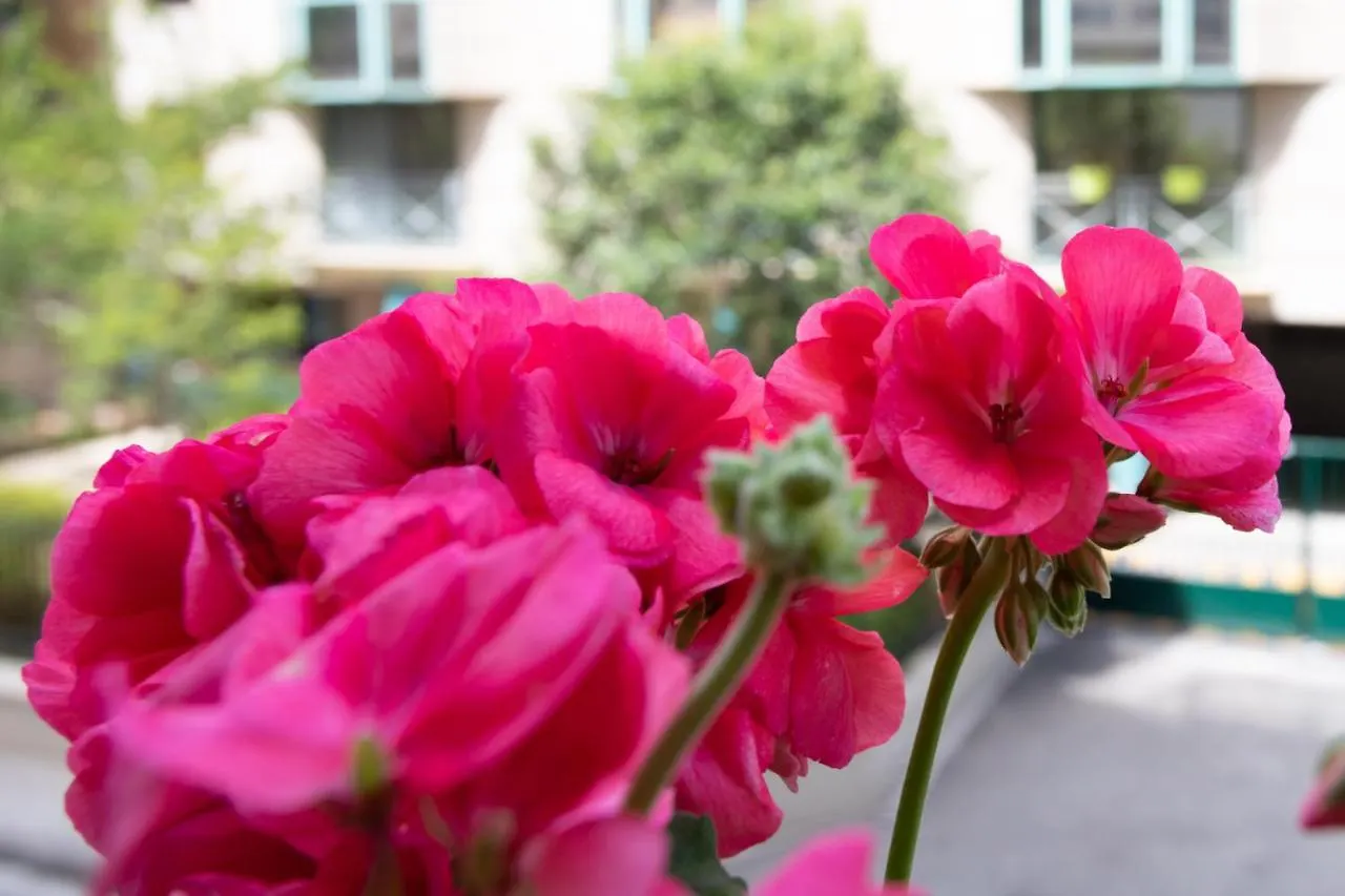 Luxury Apartment Nice Center Beach 3 Min Walk , Free Parking